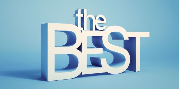 Best Pet Friendly Hotels Worldwide