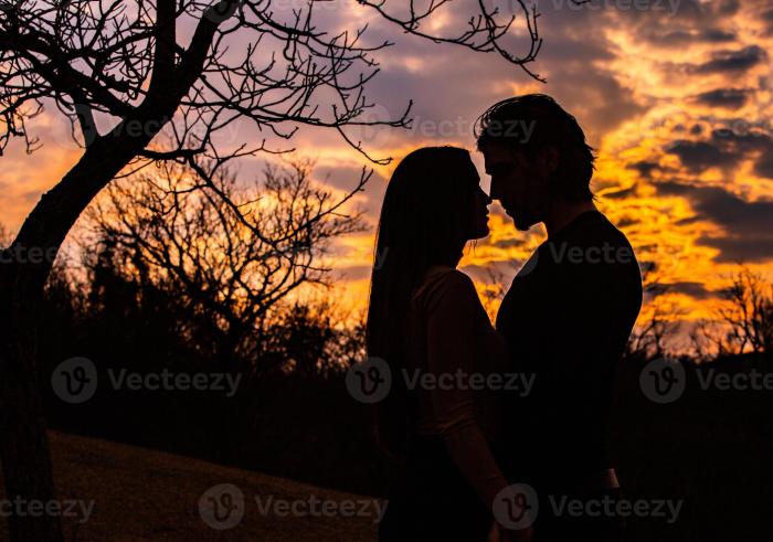 Silhouette of romantic couple in love, man and women in sunset sky ...